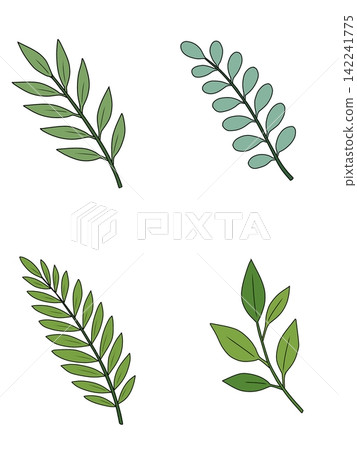 Set of simple green leaf branch vector illustrations isolated Set of simple green leaf branch vector illustrations isolated 142241775