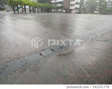 暴雨導致公園淹水：突發暴雨和傾盆大雨的畫面。 142241776