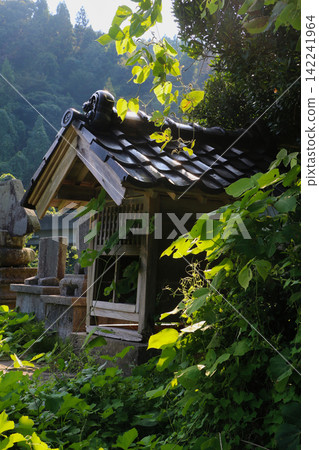 A shrine covered in ivy A shrine covered in ivy 142241964