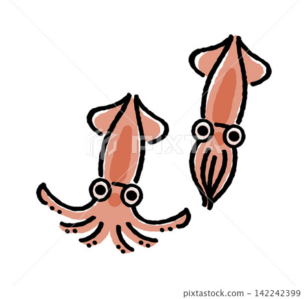 螢火蟲魷魚 螢火蟲魷魚 142242399