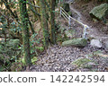 A mountain forest walking trail and handrails that pass through rocky areas. 142242594