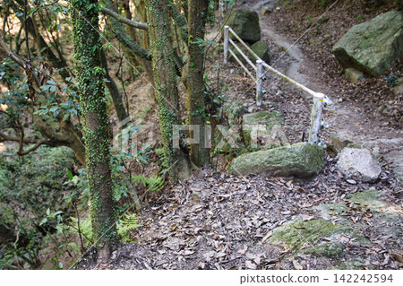 A mountain forest walking trail and handrails that pass through rocky areas. A mountain forest walking trail and handrails that pass through rocky areas. 142242594
