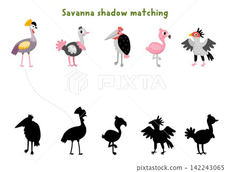 Savanna shadow matching activity with wild birds. Safari puzzle with ostrich, crowned crane, flamingo. African savannah find correct silhouette printable worksheet, game with secretary bird, marabou 142243065