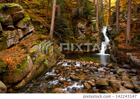 Waterfall. Autumn landscape of the Podgorna mountain waterfall in the forest of the Karkonosze National Park in Poland, Europe. Waterfall. Autumn landscape of the Podgorna mountain waterfall in the forest of the Karkonosze National Park in Poland, Europe. 142243147