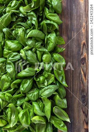 Fresh Basil on Wooden Table. Fresh Basil on Wooden Table. 142243164