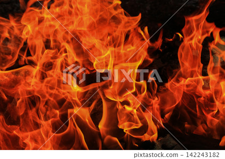 Vibrant Red and Orange Fire Flames Blaze Isolated on Black Background Vibrant Red and Orange Fire Flames Blaze Isolated on Black Background 142243182
