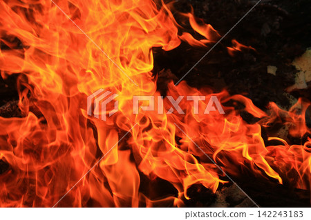 Vibrant Red and Orange Fire Flames Blaze Isolated on Black Background Vibrant Red and Orange Fire Flames Blaze Isolated on Black Background 142243183