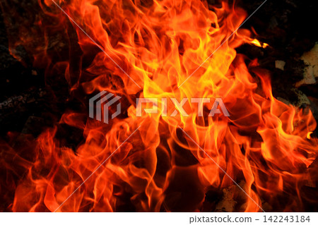 Vibrant Red and Orange Fire Flames Blaze Isolated on Black Background Vibrant Red and Orange Fire Flames Blaze Isolated on Black Background 142243184