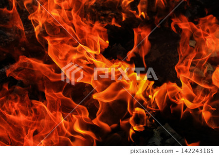 Vibrant Red and Orange Fire Flames Blaze Isolated on Black Background Vibrant Red and Orange Fire Flames Blaze Isolated on Black Background 142243185
