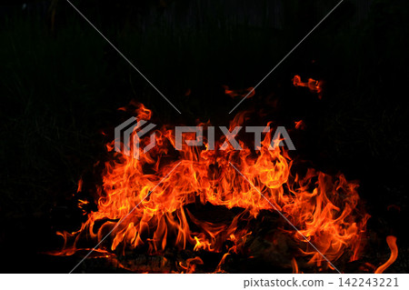 Vibrant Red and Orange Fire Flames Blaze Isolated on Black Background Vibrant Red and Orange Fire Flames Blaze Isolated on Black Background 142243221