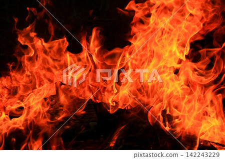 Vibrant Red and Orange Fire Flames Blaze Isolated on Black Background Vibrant Red and Orange Fire Flames Blaze Isolated on Black Background 142243229