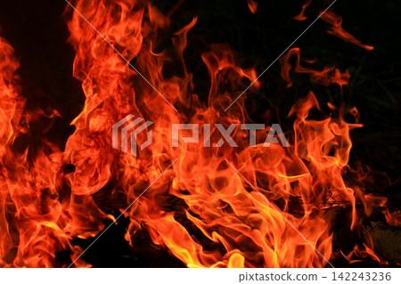 Vibrant Red and Orange Fire Flames Blaze Isolated on Black Background Vibrant Red and Orange Fire Flames Blaze Isolated on Black Background 142243236