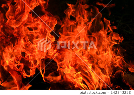 Vibrant Red and Orange Fire Flames Blaze Isolated on Black Background Vibrant Red and Orange Fire Flames Blaze Isolated on Black Background 142243238