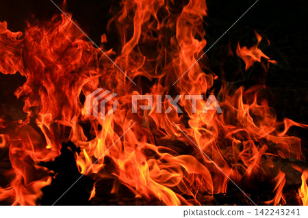 Vibrant Red and Orange Fire Flames Blaze Isolated on Black Background Vibrant Red and Orange Fire Flames Blaze Isolated on Black Background 142243241