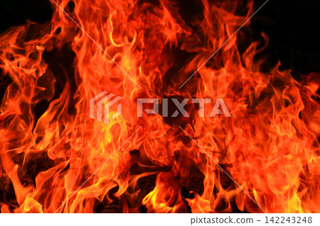 Vibrant Red and Orange Fire Flames Blaze Isolated on Black Background Vibrant Red and Orange Fire Flames Blaze Isolated on Black Background 142243248