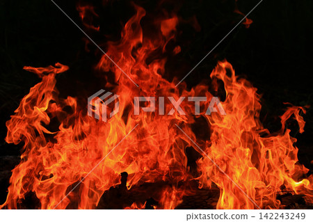 Vibrant Red and Orange Fire Flames Blaze Isolated on Black Background Vibrant Red and Orange Fire Flames Blaze Isolated on Black Background 142243249