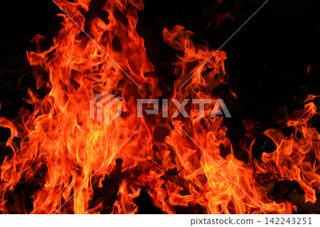 Vibrant Red and Orange Fire Flames Blaze Isolated on Black Background Vibrant Red and Orange Fire Flames Blaze Isolated on Black Background 142243251