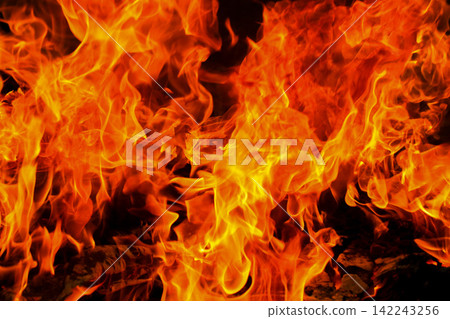 Vibrant Red and Orange Fire Flames Blaze Isolated on Black Background Vibrant Red and Orange Fire Flames Blaze Isolated on Black Background 142243256