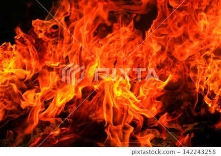 Vibrant Red and Orange Fire Flames Blaze Isolated on Black Background Vibrant Red and Orange Fire Flames Blaze Isolated on Black Background 142243258