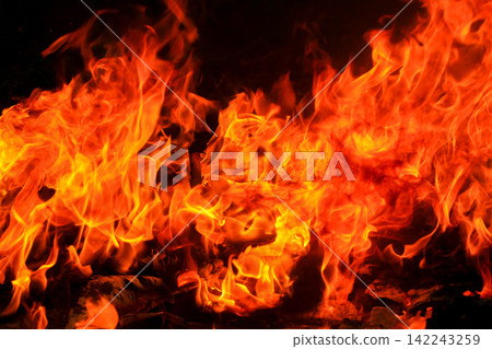 Vibrant Red and Orange Fire Flames Blaze Isolated on Black Background Vibrant Red and Orange Fire Flames Blaze Isolated on Black Background 142243259