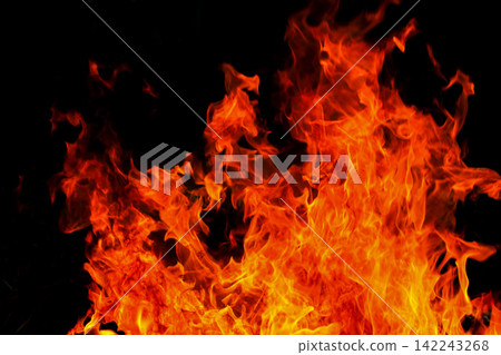 Vibrant Red and Orange Fire Flames Blaze Isolated on Black Background Vibrant Red and Orange Fire Flames Blaze Isolated on Black Background 142243268