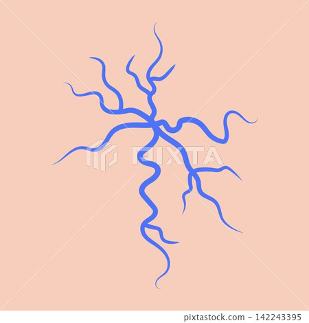 Blue spider veins anatomy Blue spider veins anatomy 142243395