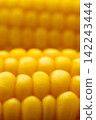Close-up of yellow corn kernels on the cob 142243444