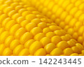Macro view of fresh yellow corn kernels on the cob 142243445