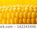 Close-up of yellow corn kernels on the cob 142243446