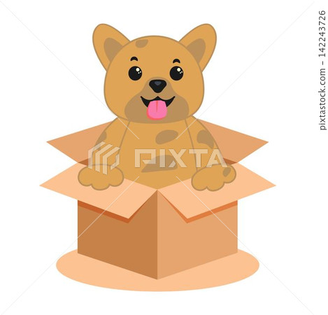 Cute homeless puppy inside a cardboard box 142243726