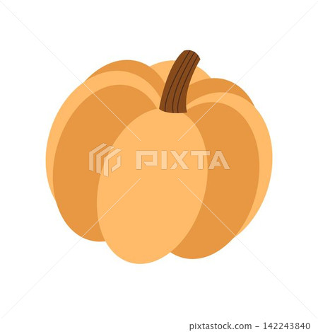 Ripe orange pumpkin vector 142243840