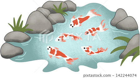carp fish pond 142244074