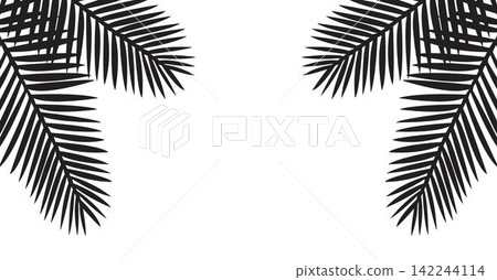 Black leaves of palm tree Black leaves of palm tree 142244114