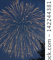 Fireworks 142244381