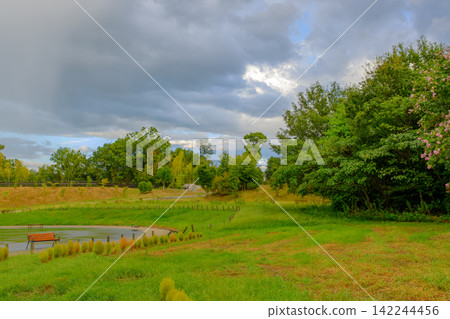 A park scene under a cloudy sky, featuring a vast lawn and benches. 142244456