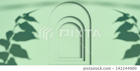 Scene for product demonstration and advertising with a shadow of a branch with leaves on a mint background with an arch Scene for product demonstration and advertising with a shadow of a branch with leaves on a mint background with an arch 142244900