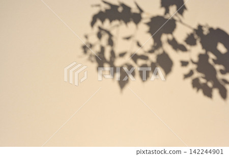 Scene for product demonstration and advertising with a shadow of a branch with leaves Scene for product demonstration and advertising with a shadow of a branch with leaves 142244901