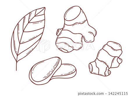 Outline Ginger Root Set. Botanical Rhizome, Sliced Pieces and Leaf Plant. Culinary Organic Spice and Herbal Tea Ingredient. Vector Illustration. Isolated Line Art Hand Drawn on White Outline Ginger Root Set. Botanical Rhizome, Sliced Pieces and Leaf Plant. Culinary Organic Spice and Herbal Tea Ingredient. Vector Illustration. Isolated Line Art Hand Drawn on White 142245115