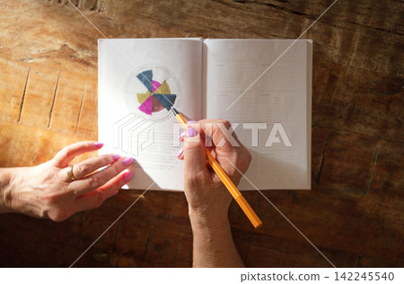 Hands of a woman holding an orange pencil pointing at a colorful pie chart in an open notebook on a wooden table with natural light illuminating the scene 142245540