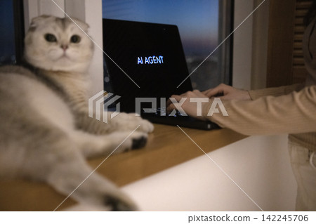 Domestic cat lying on a windowsill beside a person typing on a laptop displaying the text "AI AGENT" with a blurred cityscape visible in the background Domestic cat lying on a windowsill beside a person typing on a laptop displaying the text "AI AGENT" with a blurred cityscape visible in the background 142245706