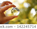 Hand holding a clear glass sphere reflecting green foliage and sunlight with a blurred natural background creating a dreamy atmosphere in a garden setting 142245714