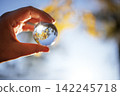 Hand holding a glass sphere reflecting autumn foliage and blue sky, with sunlight creating a soft bokeh effect in the background 142245718