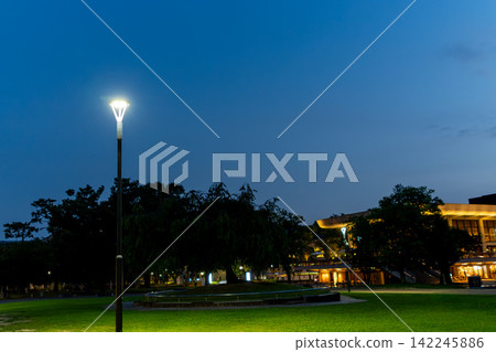 傍晚的城市公園,綠草茵茵,路燈閃爍。 傍晚的城市公園,綠草茵茵,路燈閃爍。 142245886