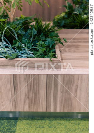 A space with a wooden counter and abundant houseplants. A space with a wooden counter and abundant houseplants. 142245987