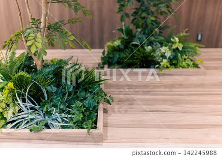 A space with a wooden counter and abundant houseplants. A space with a wooden counter and abundant houseplants. 142245988