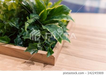Interior design that makes use of light wood grain and foliage plants Interior design that makes use of light wood grain and foliage plants 142245989