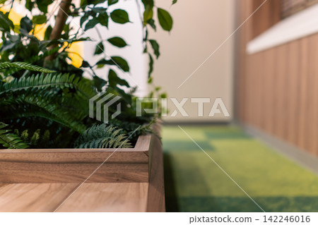 擺放著綠植的木製櫃檯,非常適合產品展示和廣告宣傳。 擺放著綠植的木製櫃檯,非常適合產品展示和廣告宣傳。 142246016