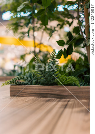 擺放著綠植的木製櫃檯，非常適合產品展示和廣告宣傳。 142246017