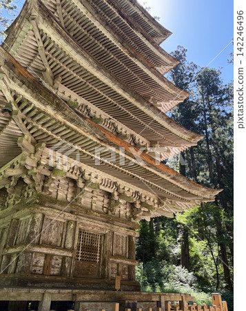 琉璃光寺五重塔，被指定為國寶。 142246496
