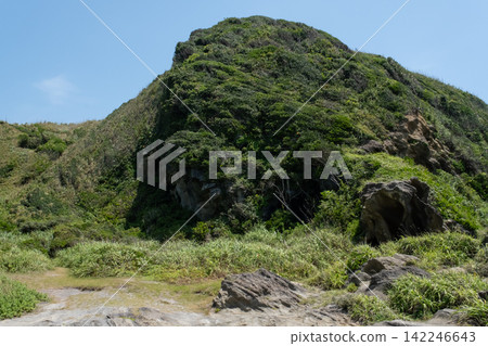 Summer grass growing on the cliff slopes of Jogashima Island in Miura City, Kanagawa Prefecture. Summer grass growing on the cliff slopes of Jogashima Island in Miura City, Kanagawa Prefecture. 142246643